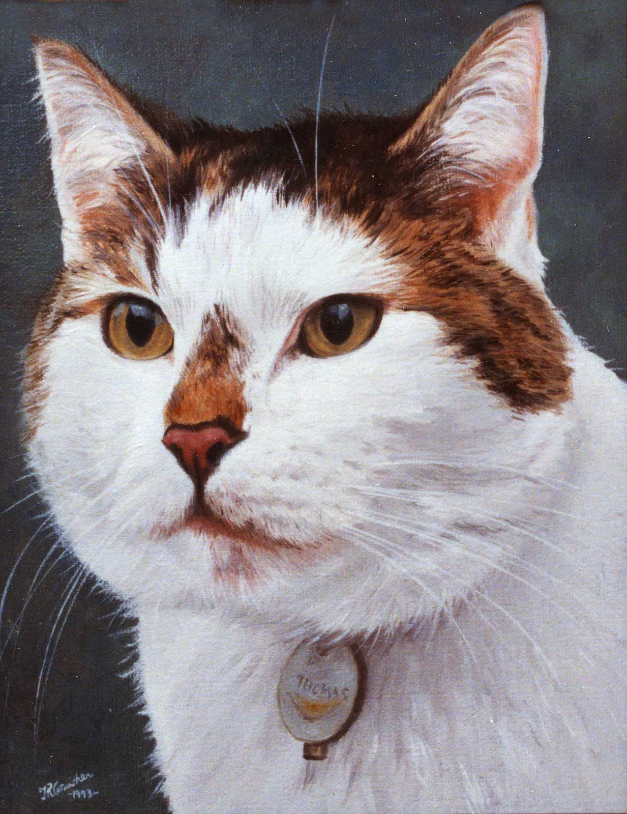 Cat portrait, oil painting on canvas