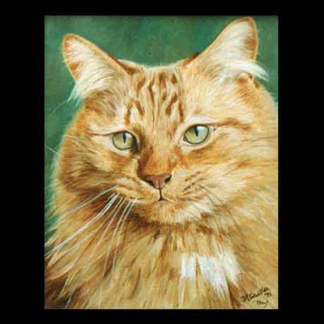 Cat portrait painting, oil paint on canvas