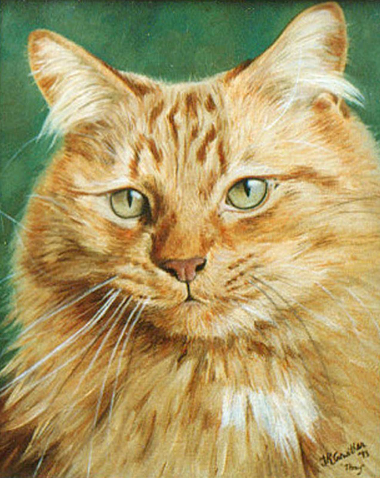 Cat portrait, oil painting on canvas