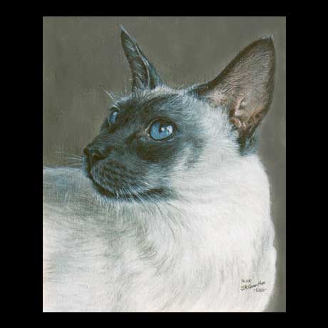 Cat portrait painting, oil paint on canvas