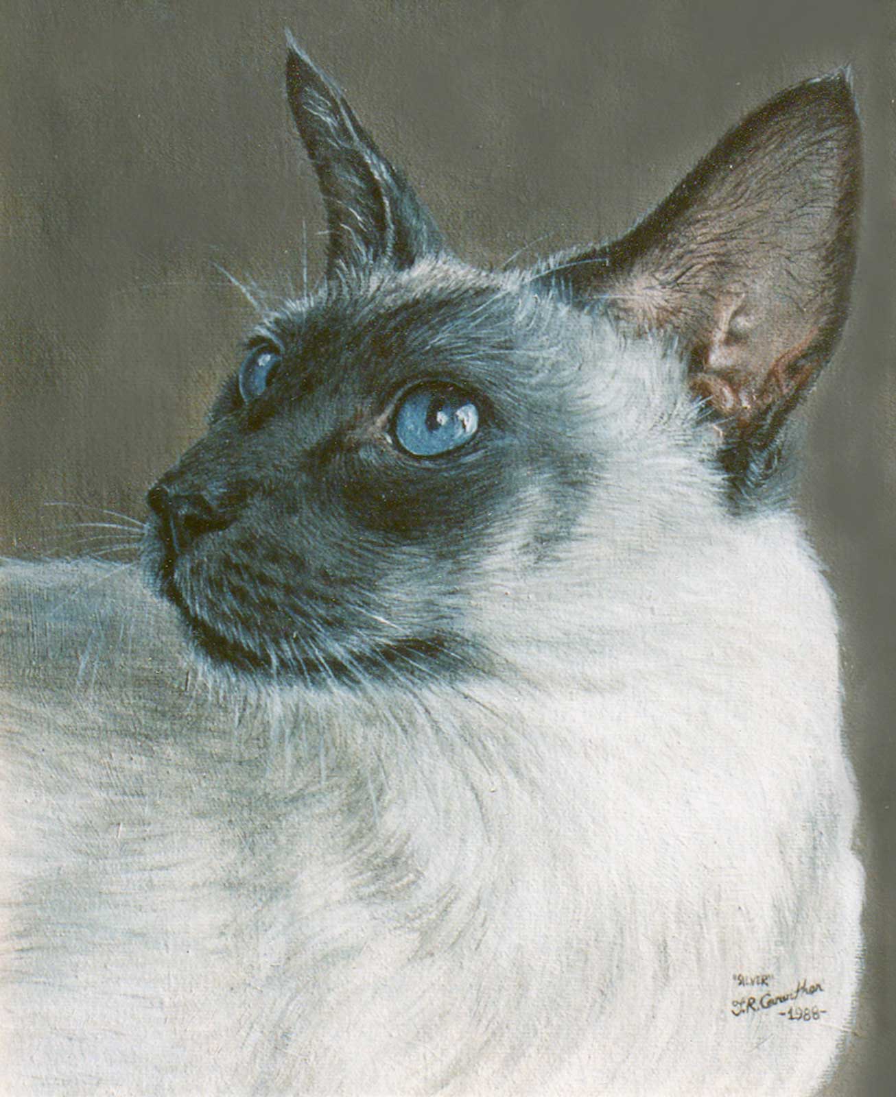 Cat portrait, oil painting on canvas