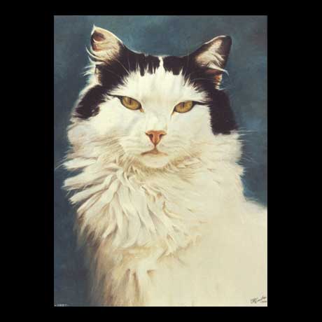 Cat portrait painting, oil paint on canvas