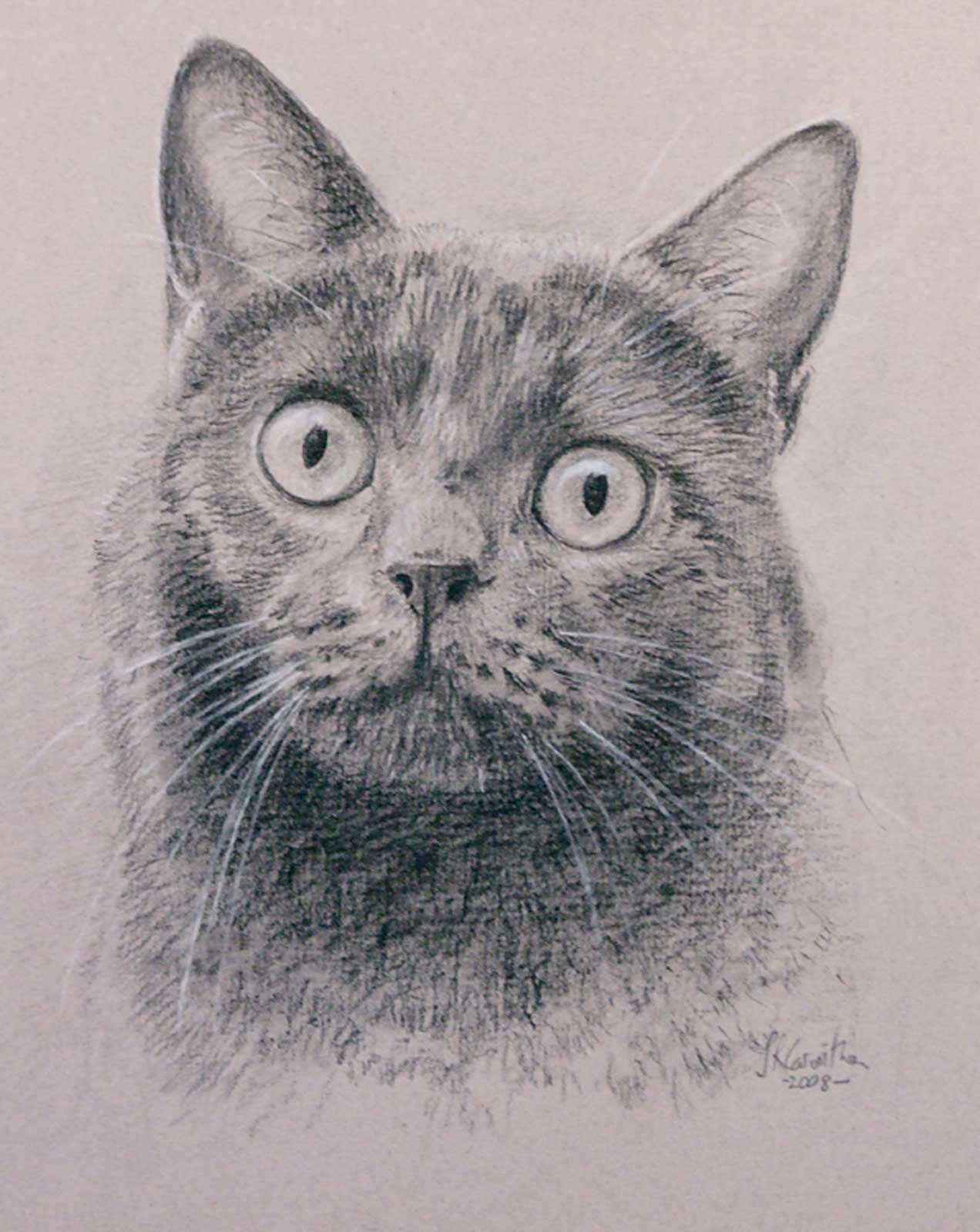 Cat portrait, drawing on paper