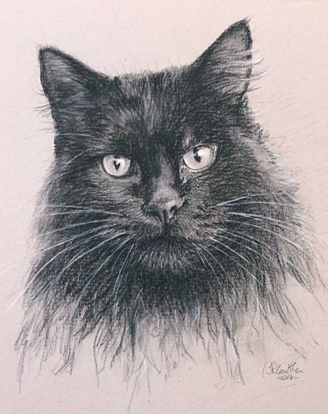 Cat portrait, drawing on paper