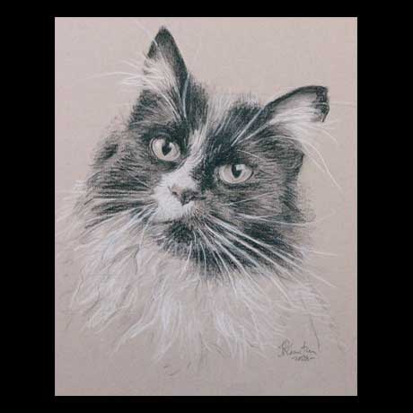 Cat portrait painting, oil paint on canvas