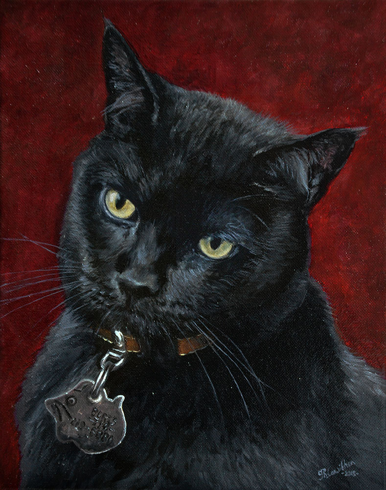 Cat portrait, oil painting on canvas