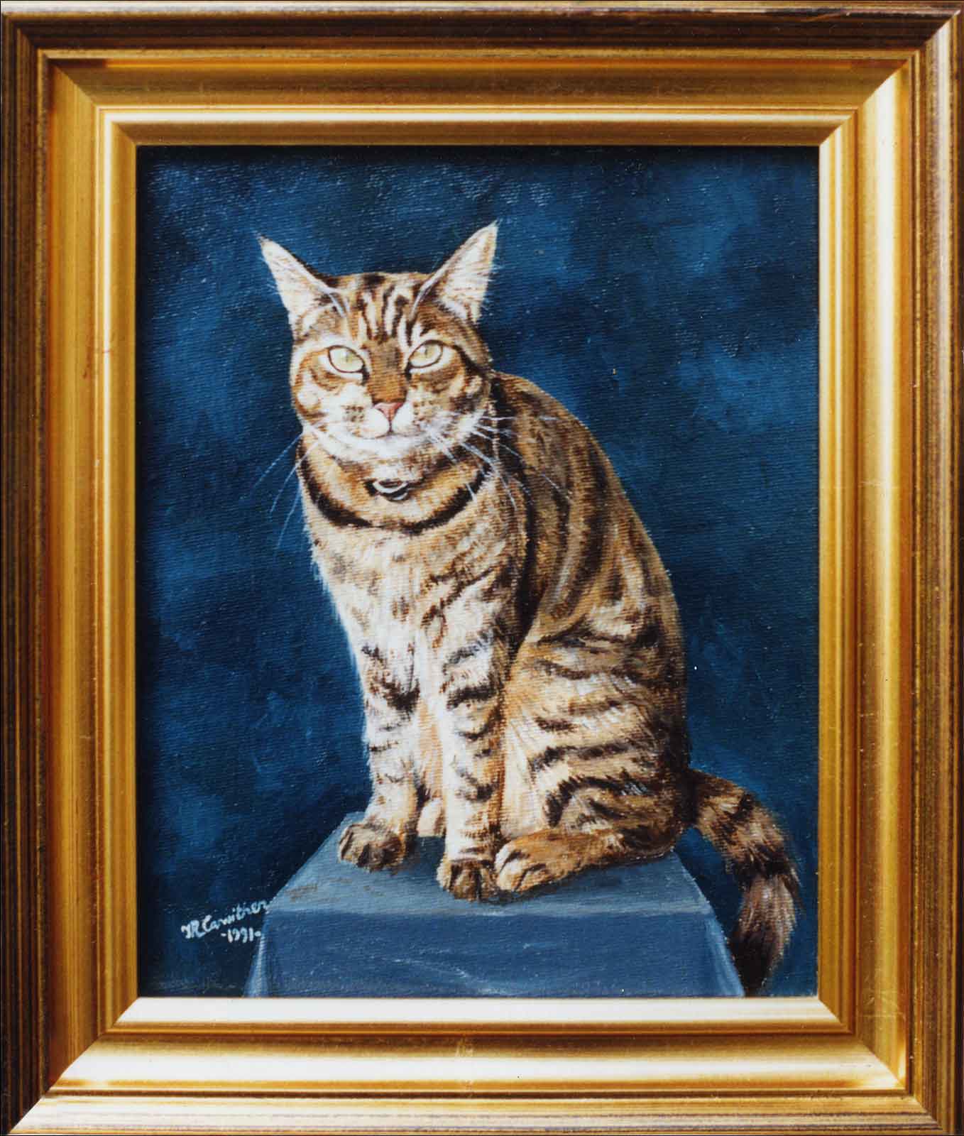 Cat portrait, oil painting on canvas