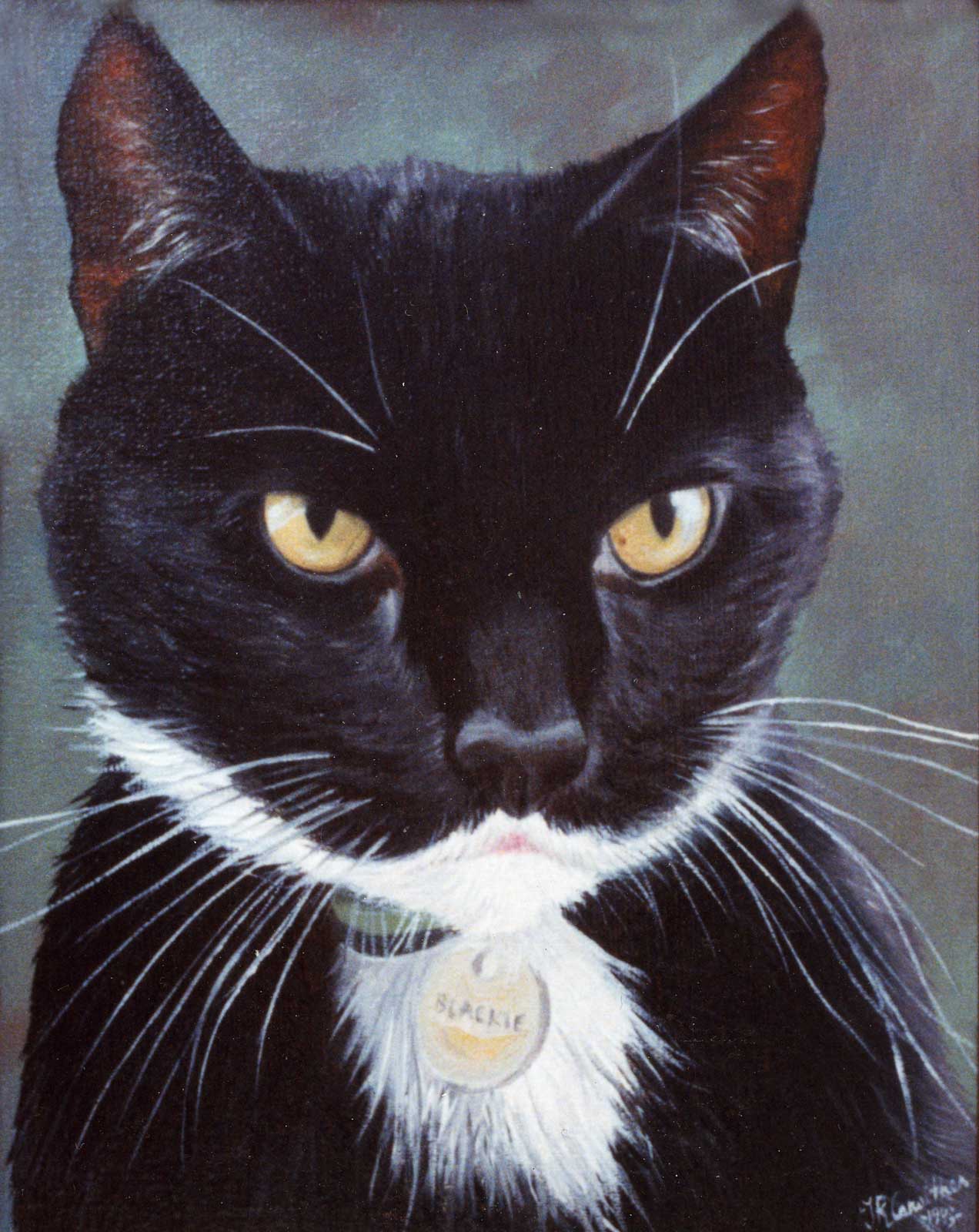 Cat portrait, oil painting on canvas