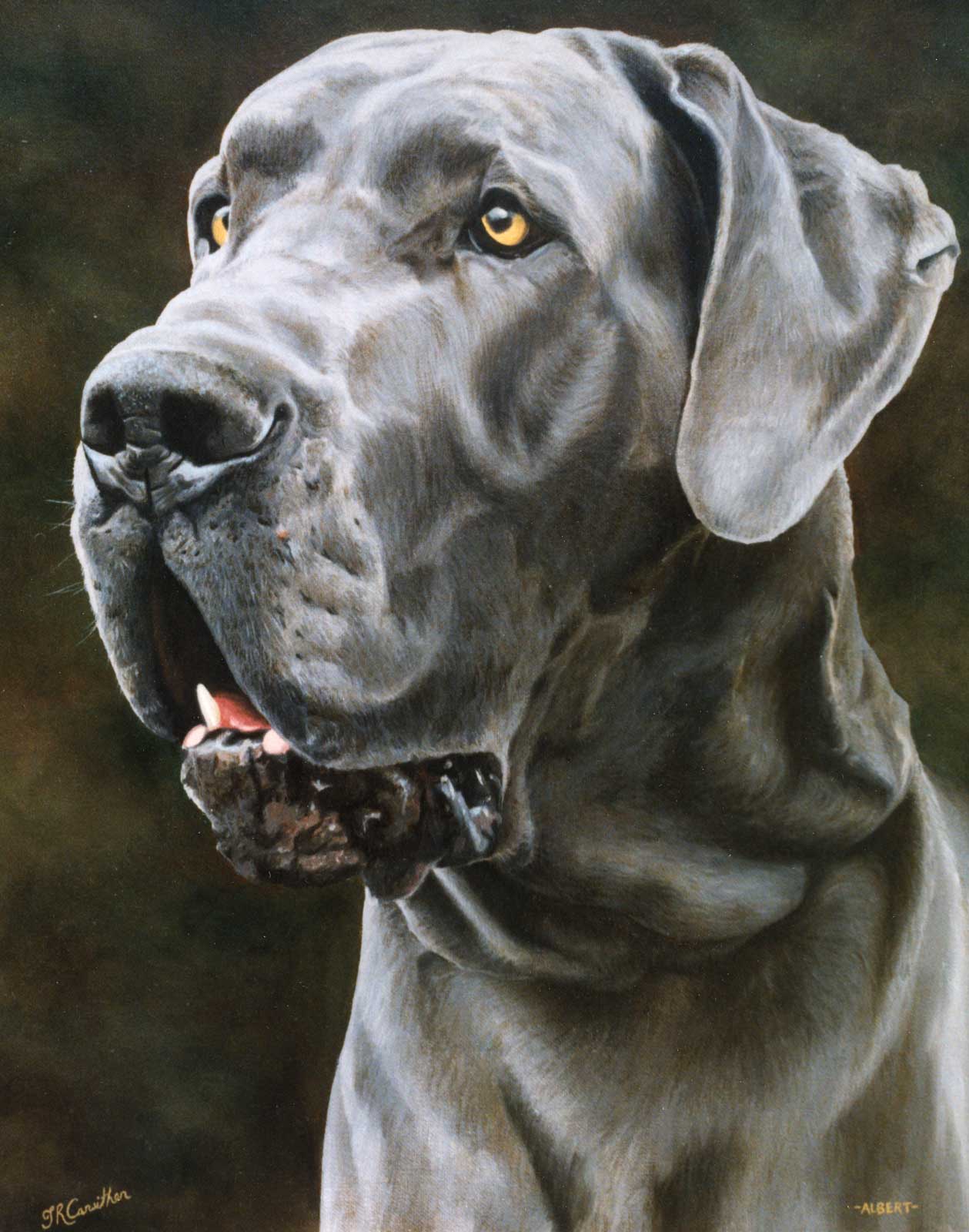 Great Dane dog portrait oil painting on canvas