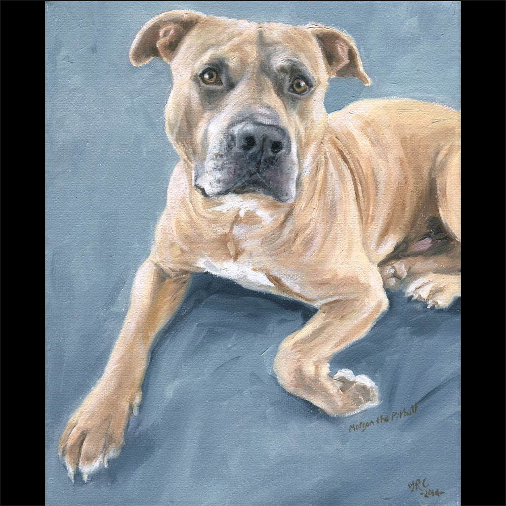 Pit bull terrier portrait oil painting 1 on canvas