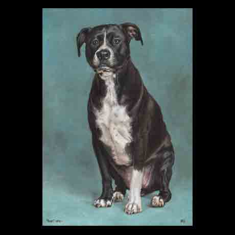 Pit bull dog portrait painting, oil paint on canvas