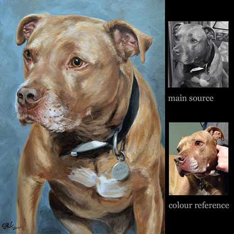 Pit bull portrait painting dog 3