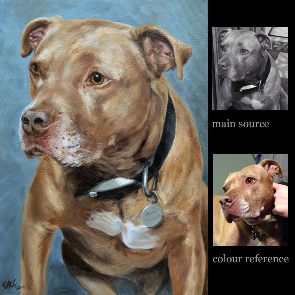 Pit bull Terrier portrait painting dog 3 - oils on canvas