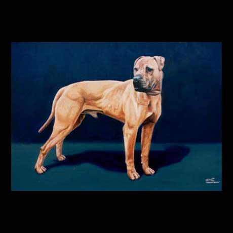 Pit bull dog portrait painting, oil paint on canvas