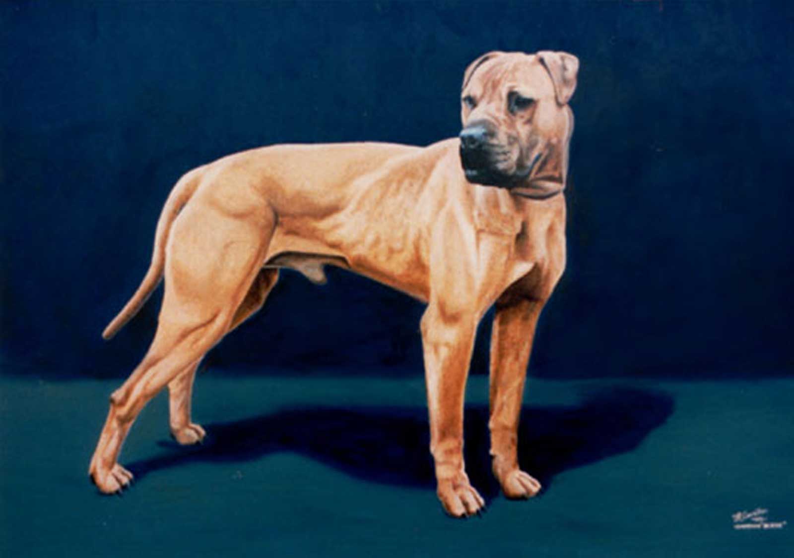 Pitbull dog portrait oil painting on canvas