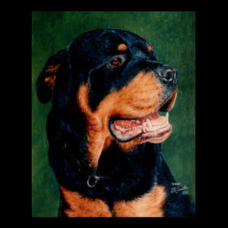 Rottweiler dog portrait painting, oil paint on canvas