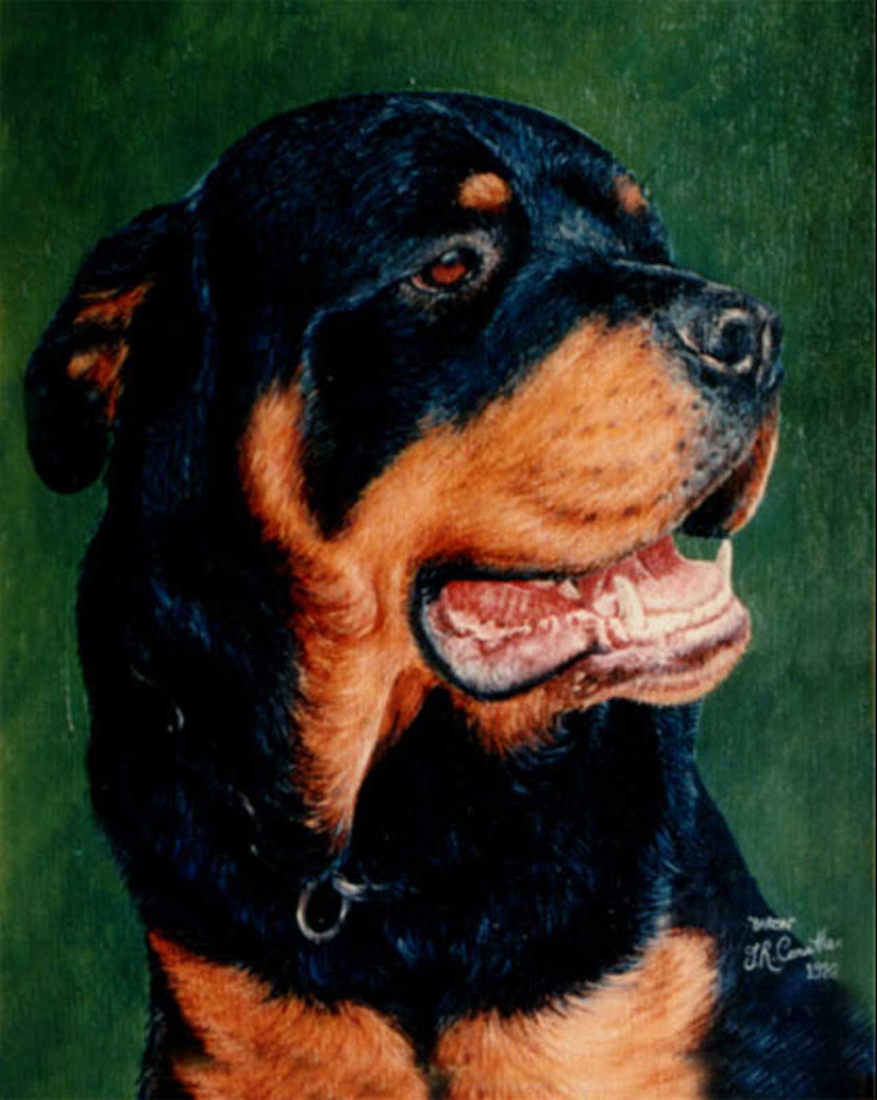 Rottweiler dog portrait oil painting on canvas