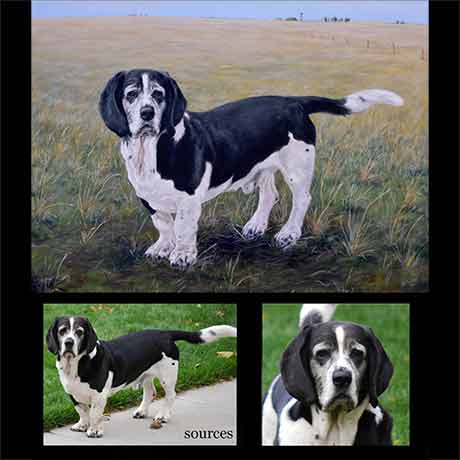 Bassett dog portrait painting 1 - oils on canvas