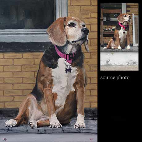 Beagle dog portrait painting 1 - oils on canvas