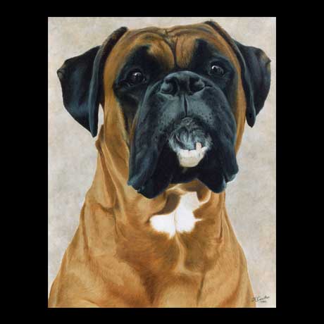 Boxer dog portrait painting, oil paint on canvas