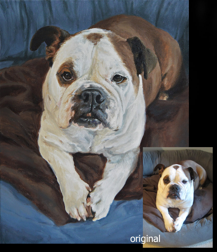 Boxer dog portrait painting 3 - oils on canvas