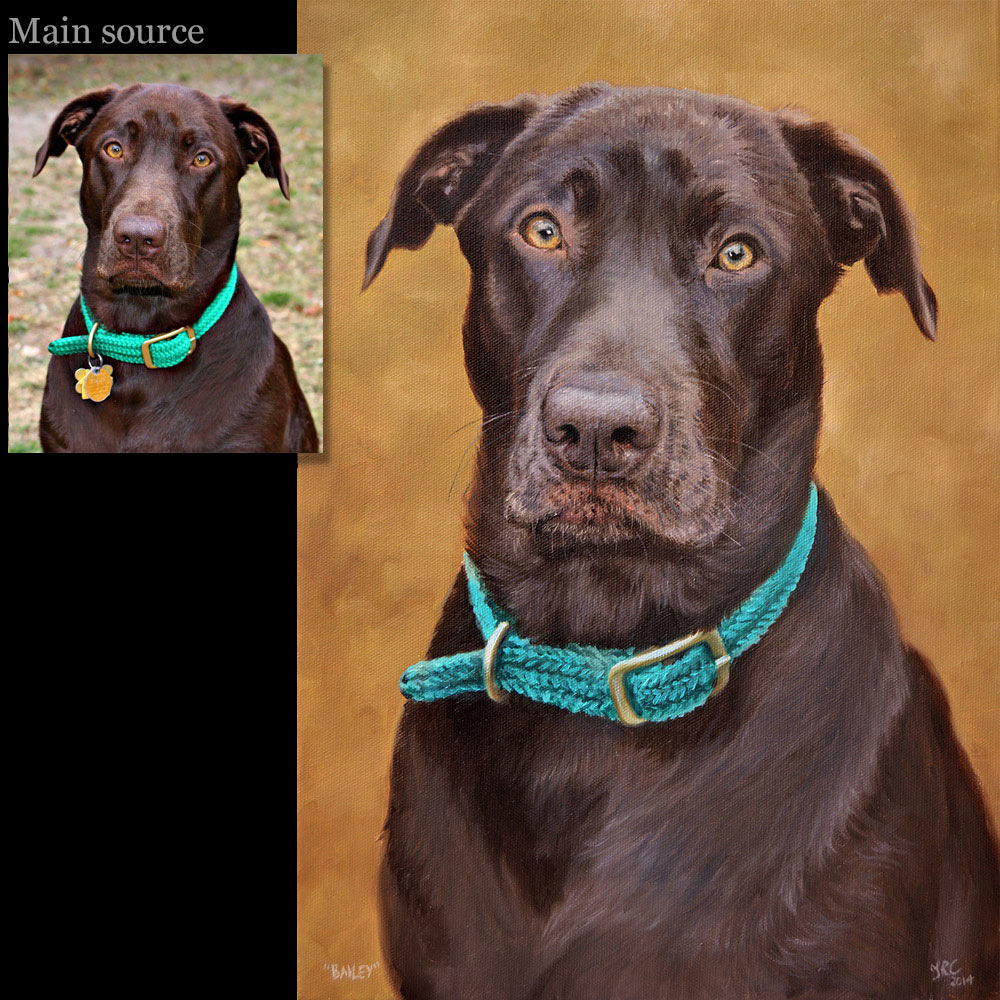 Brown labrador portrait oil painting 1 on canvas