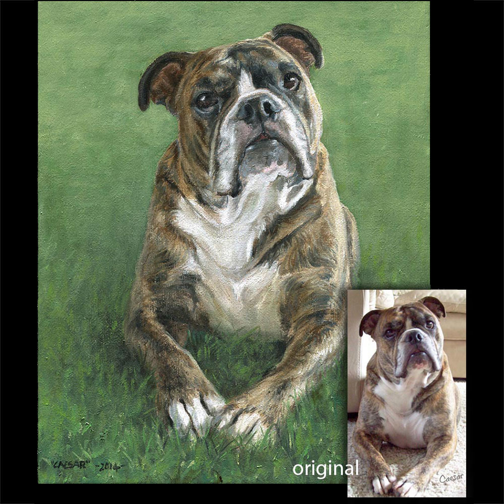 Bulldog portrait oil painting 1 on canvas