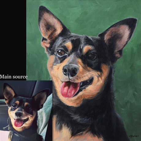 Chihuahua portrait painting 1, oil paint on canvas