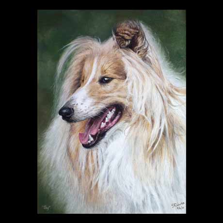 Collie dog portrait painting, oil paint on canvas