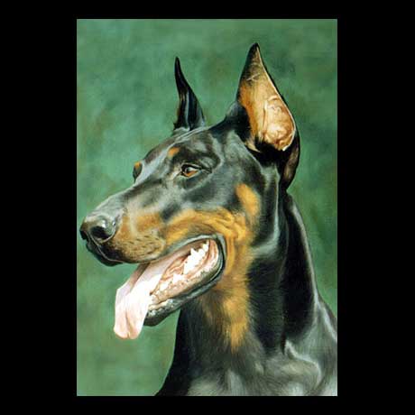 Doberman dog portrait painting, oil paint on canvas