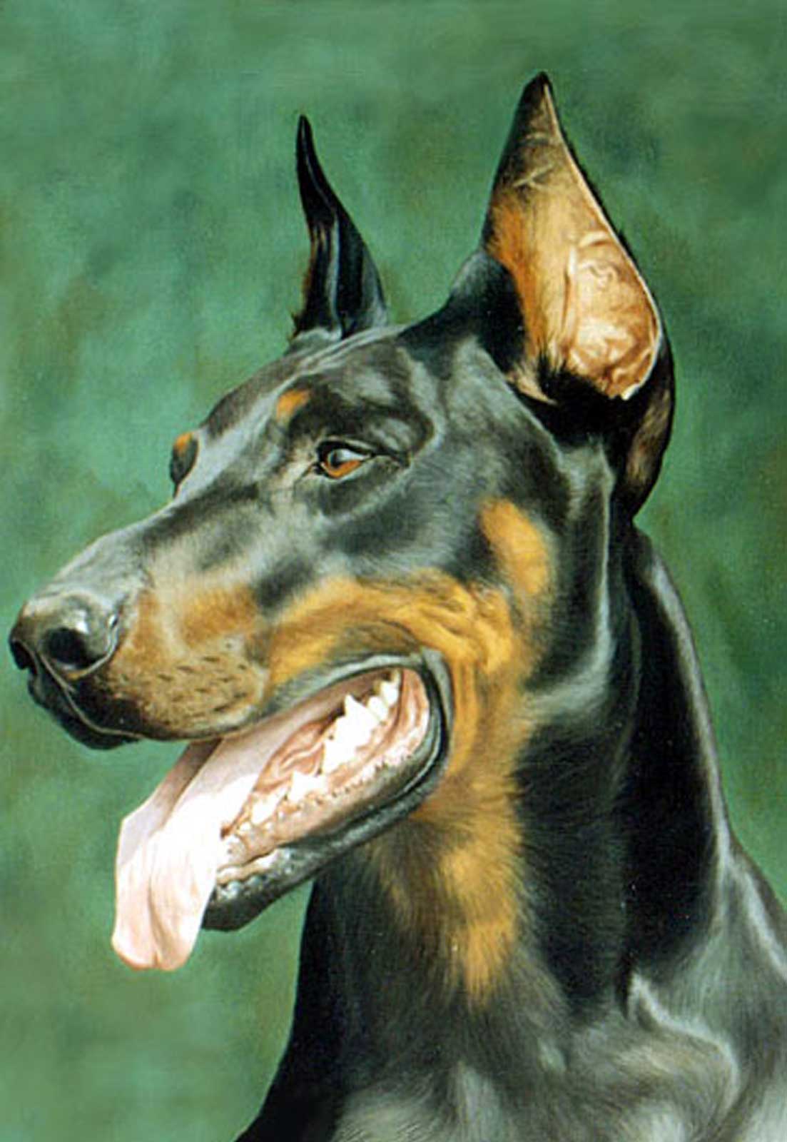 Doberman dog portrait oil painting on canvas