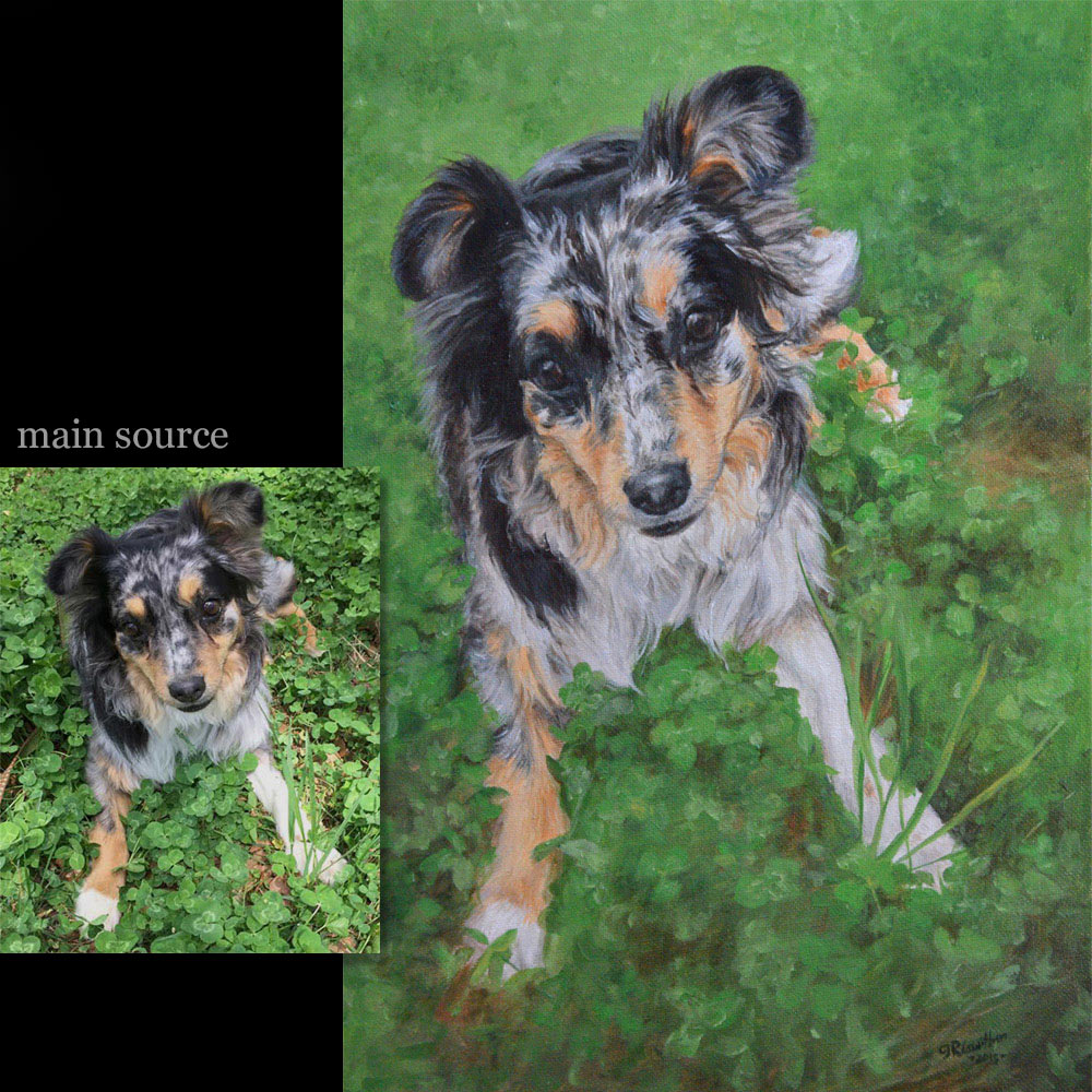 Dog portrait painting 12 - oils on canvas