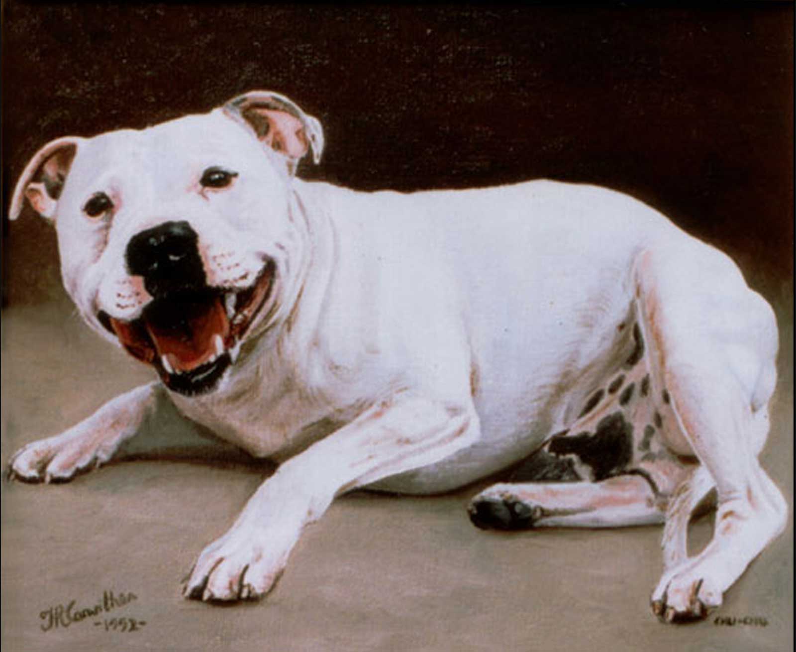 Dog portrait oil painting on canvas