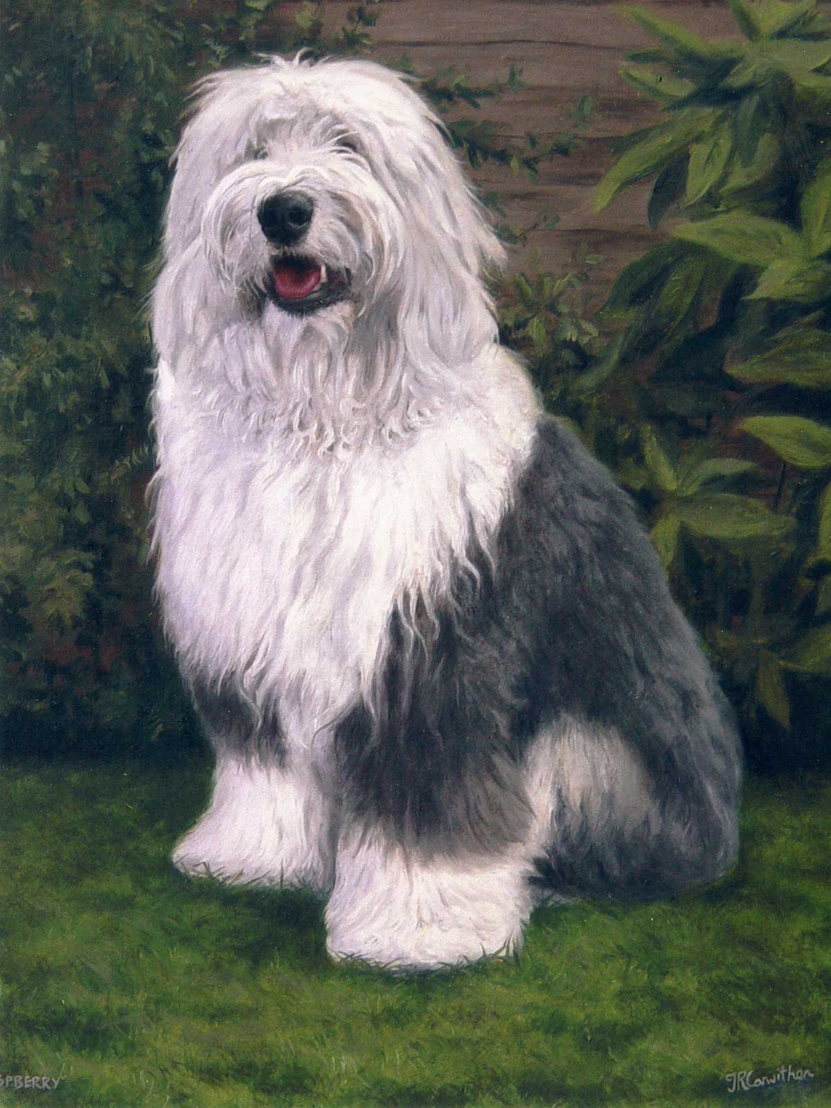 Old English Sheepdog dog portrait oil painting on canvas