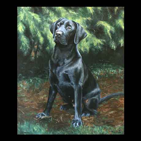 Labrador dog portrait painting, oil paint on canvas