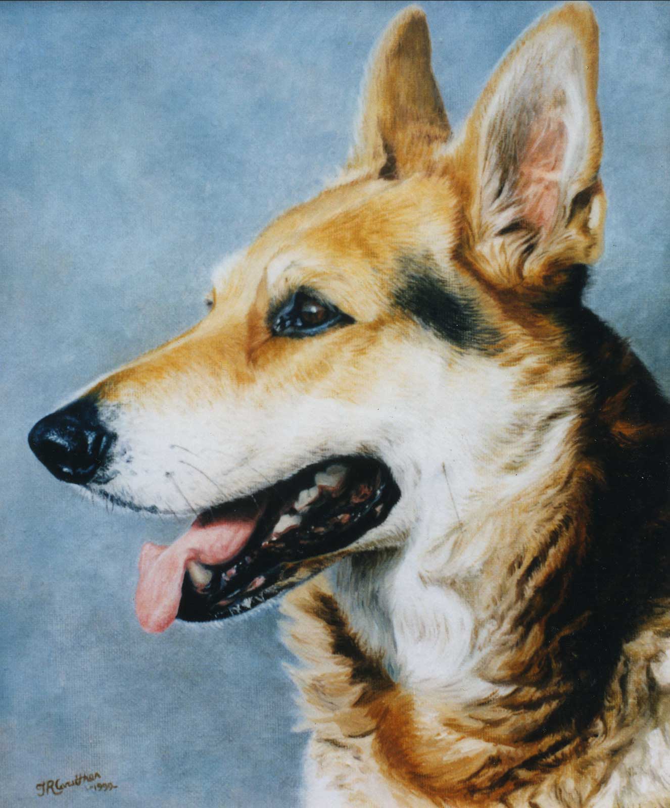 Dog portrait oil painting on canvas