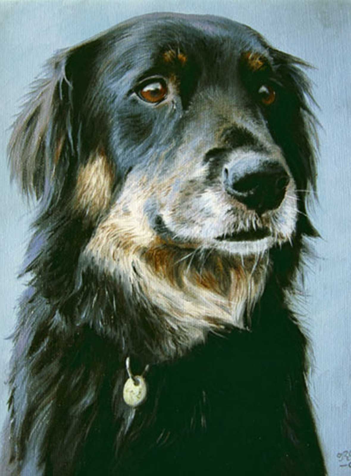 Dog portrait oil painting on canvas