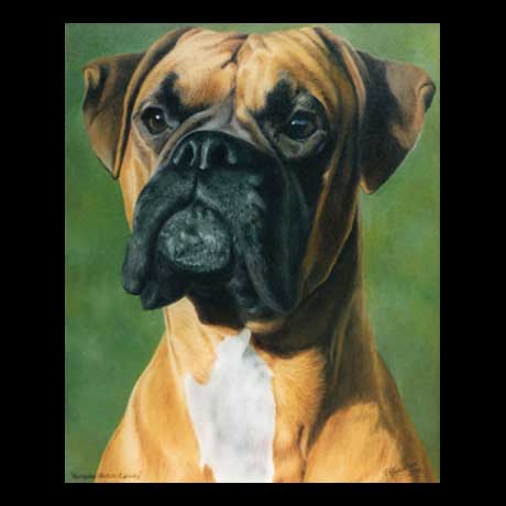 Boxer dog portrait painting, oil paint on canvas