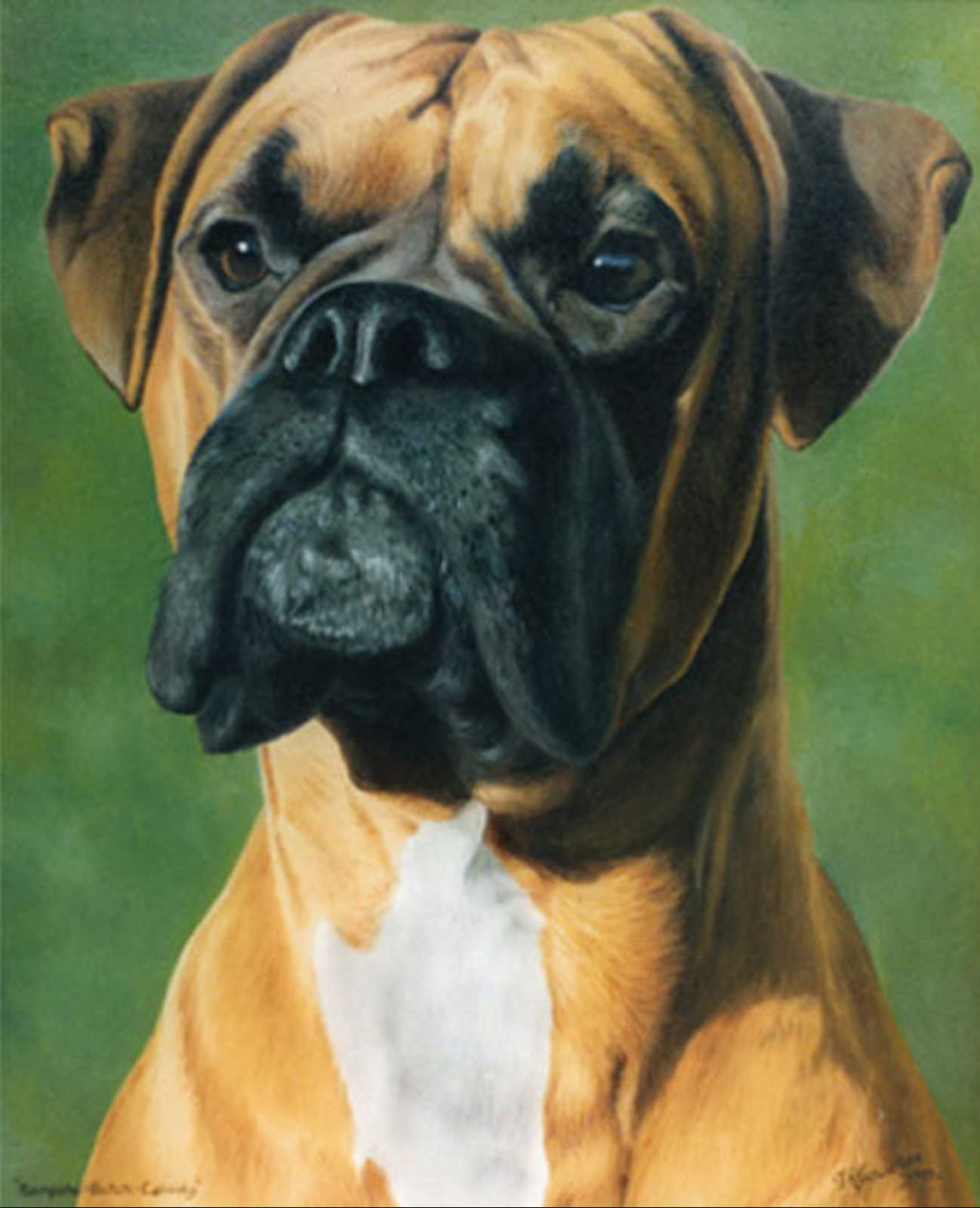 Boxer dog portrait oil painting on canvas