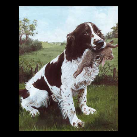 Springer Spaniel dog portrait painting, oil paint on canvas