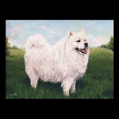 Japanese Spitz dog portrait painting, oil paint on canvas