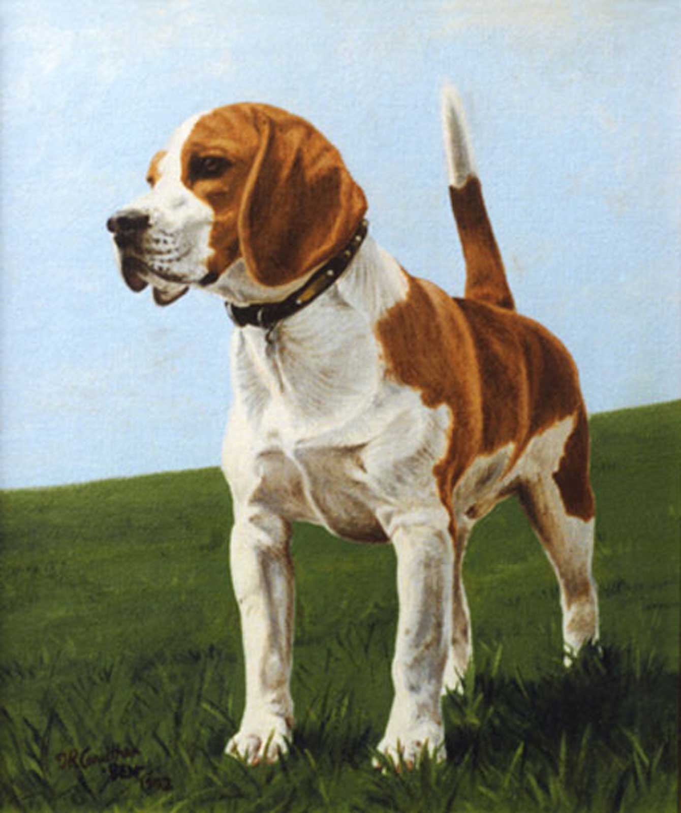 Beagle dog portrait oil painting on canvas