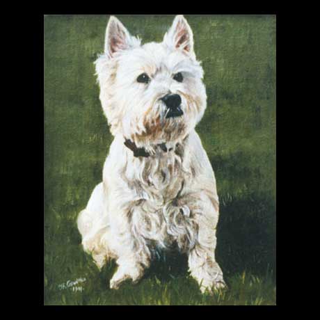 Westy dog portrait painting, oil paint on canvas