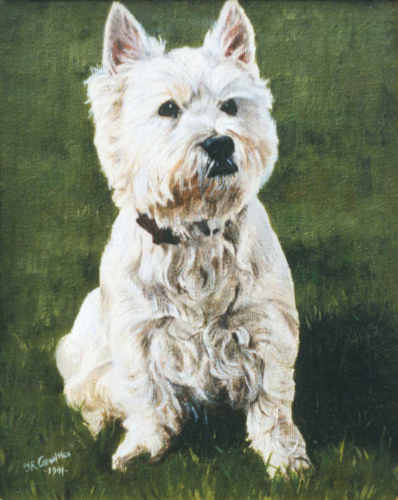 Westy dog portrait oil painting on canvas