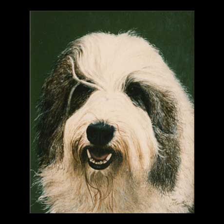 Old English Sheepdog dog portrait painting, oil paint on canvas