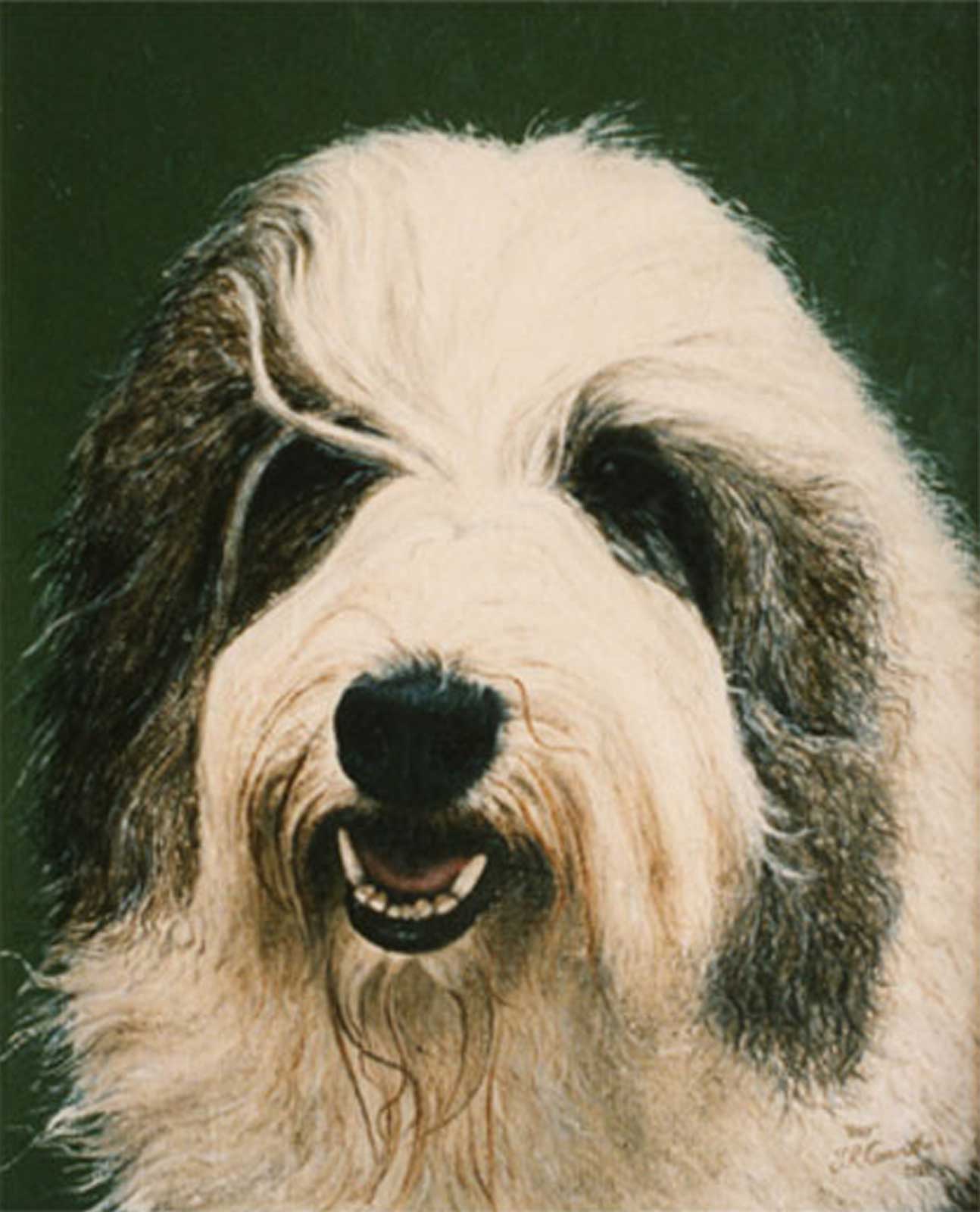 Old English Sheepdog dog portrait oil painting on canvas