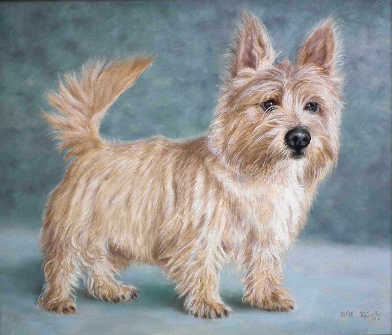 Norwich Terrier dog portrait oil painting on canvas