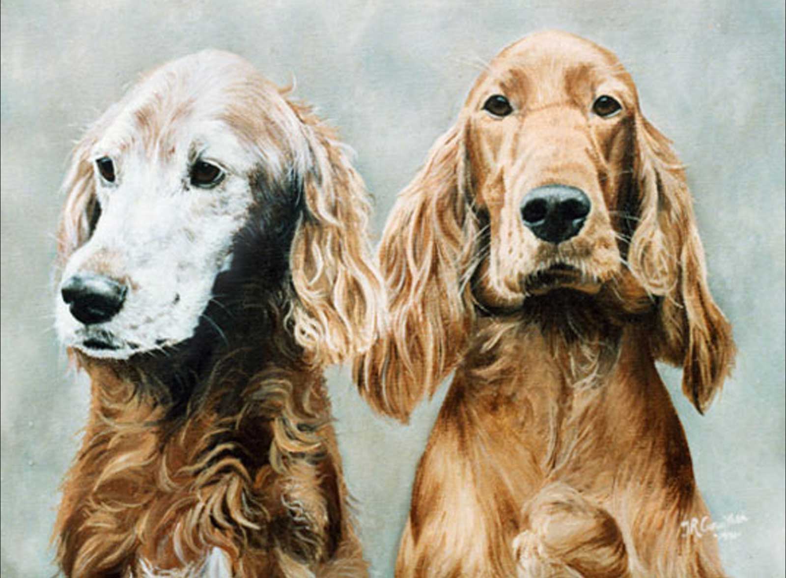 Red Setter dog portraits oil painting on canvas