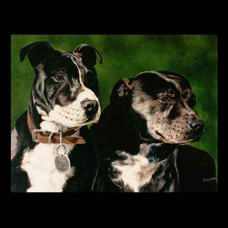 Staffordshire Bull Terrier dog portrait painting, oil paint on canvas