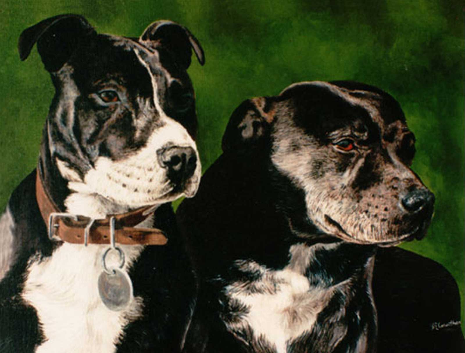 Staffordshrie Bull Terrier dog portraits oil painting on canvas